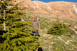 Al-Arz;Kaleidos;Kaleidos-images;Lebanon;Middle-East;Near-East;Tarek-Charara;Youssef-Tawk;Cedars;Cedars-of-Lebanon;Cedrus-libani